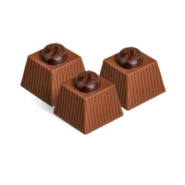 Mixed Nuts Filling Chocolate